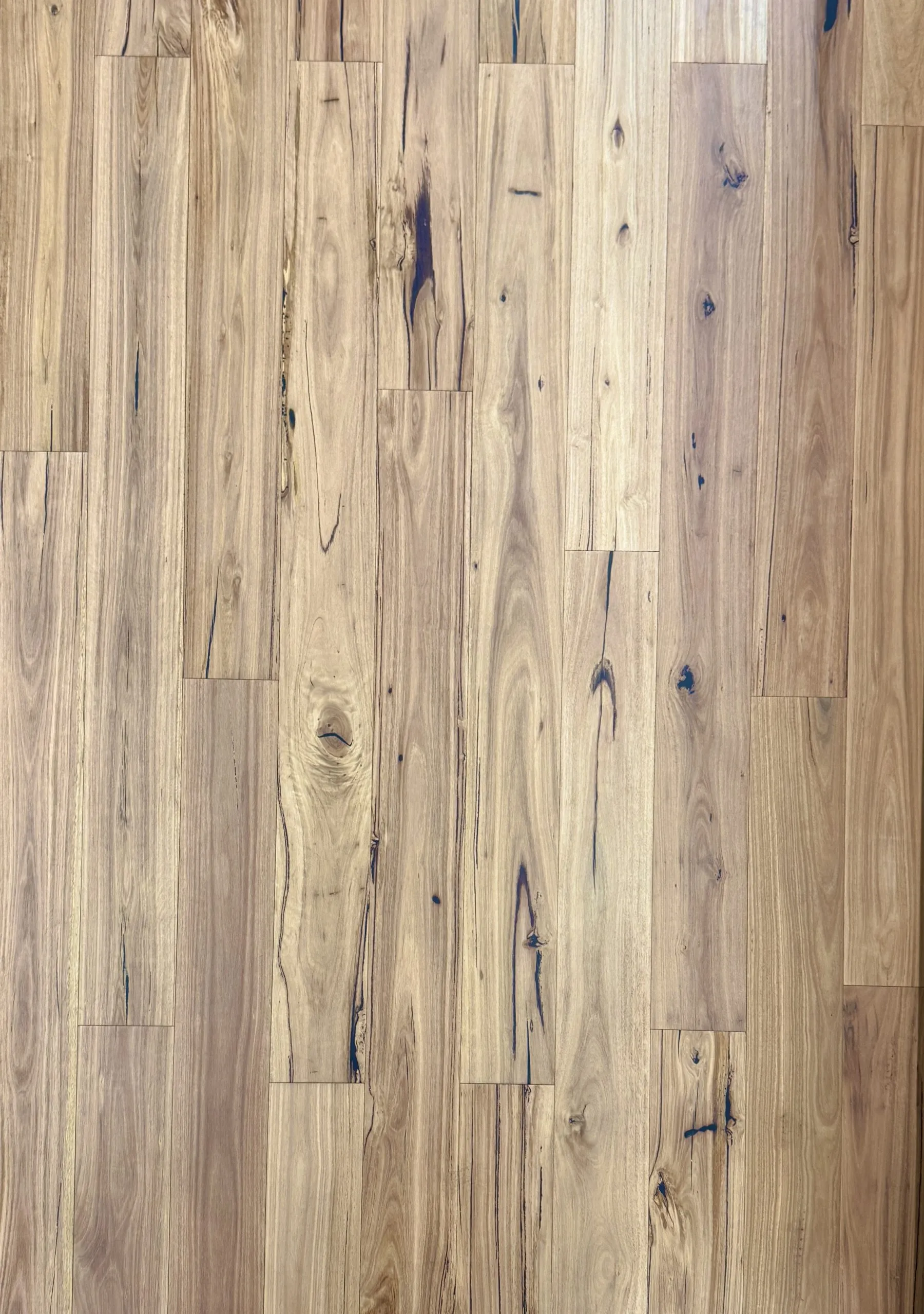 Blackbutt Australian Species Engineered Timber Flooring - Image 2