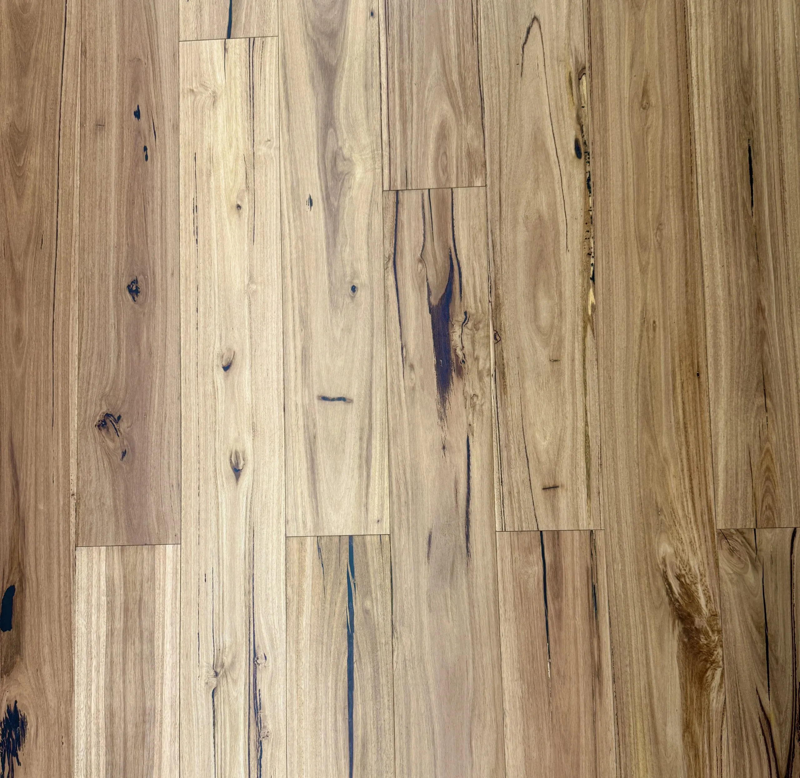 Blackbutt Australian Species Engineered Timber Flooring